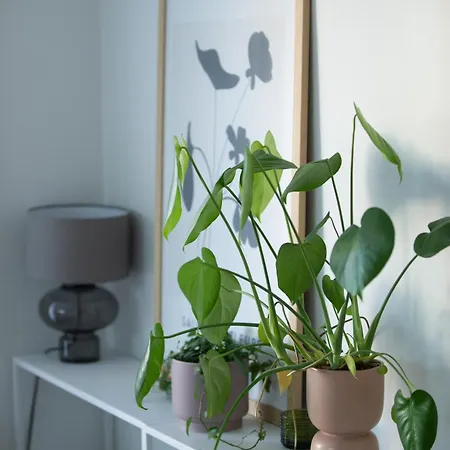 2 Bedroom Rose Charm - By Apartament