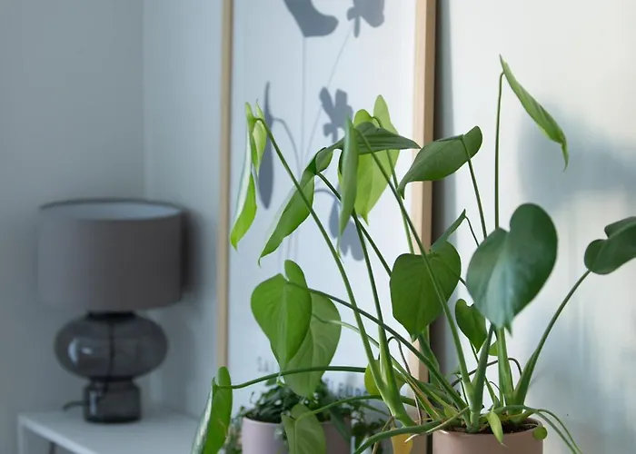 2 Bedroom Rose Charm - By Апартаменты